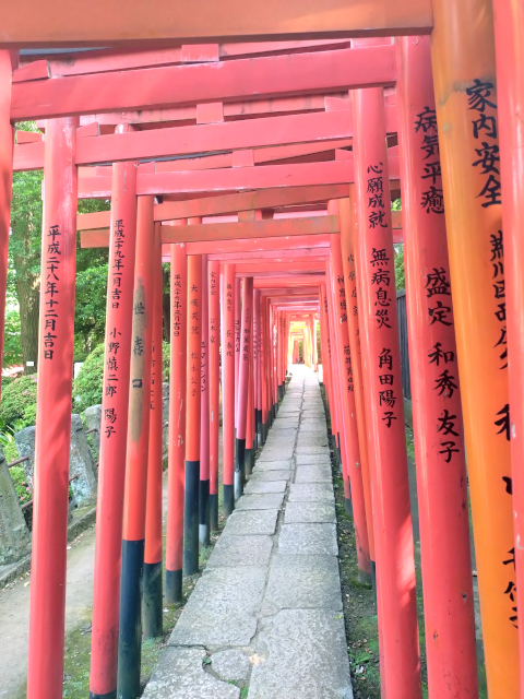 根津神社 乙女稲荷1