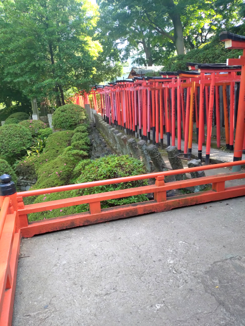 根津神社 乙女稲荷3