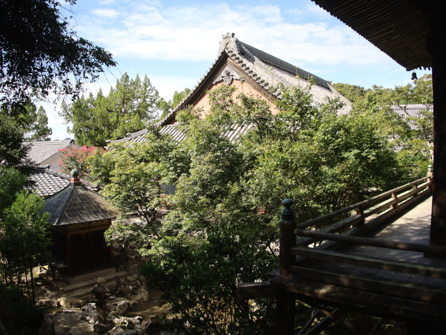 草堂寺 観音堂3