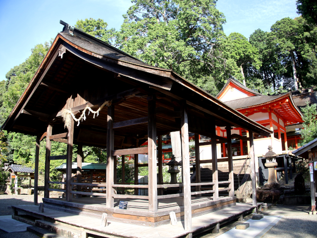 廣八幡宮 拝殿4