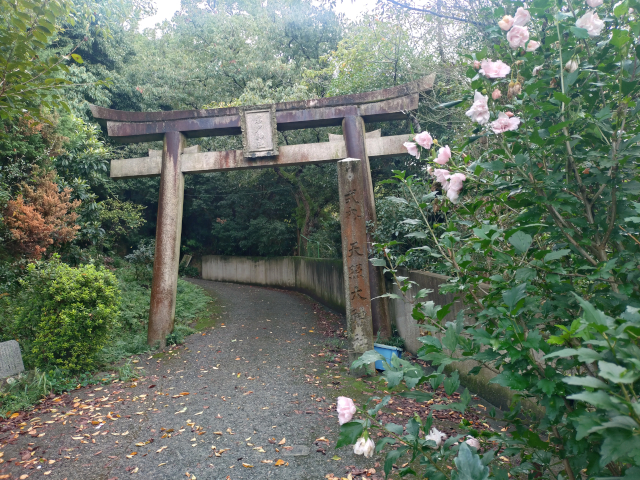 天照大神高座神社1