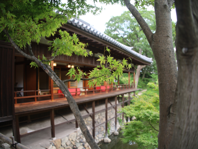 ���q��뉀�i���}����فj�R