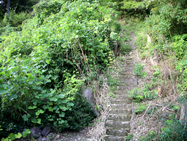 松岩寺 薬師堂2